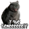 STICKERS
Y que
tieneeeeee!?