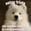 estoy triste @pet.posting me mandas fotitos de tu carita pechocha? :c