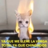 YA QUE ME LLEVE LA VERGA
TOTAL YA QUE CHINGADOS