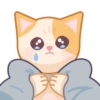 Gato Titi 17