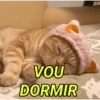VOU
DORMIR