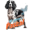 Mixperro Pascal