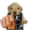 J
