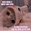 Memes Michis ✨😻 5