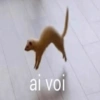 Randomcitos Para Tu Chat 🧬 10