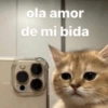ola amor
de mi bida