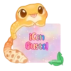 🦎💕Gecko Aurora💕🦎 23