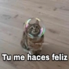 @Harley_Stickers
Tu me haces feliz