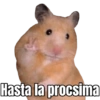 Hasta la procsima
