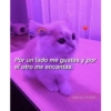 Gatitos Anti-depresivos Vol.1 8