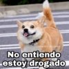 @Harley Stickers
No entiendo
estoy drogado
