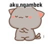 Pentol bucin 5