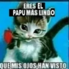 ERES EL
PAPU MÁS LINDO
QUE MIS OJOS HAN VISTO