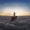 PINK FLOYD THE ENDLESS RIVER L