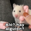@Harloy Stickers
Aló? hay
alguien?
