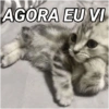 Melhores do Momento 8