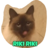 RIKI RIKI
