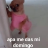 apa me das mi
domingo