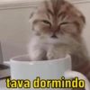 tava dormindo