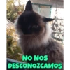 NO NOS
DESCONOZCAMOS