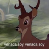 Venada soy, venada soy