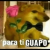 para ti GUAPO