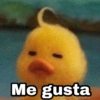 Memes pa' hablar XD 2 9