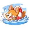 Cute dog 14