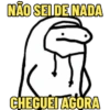 MEMES DO FLORK 😁 11