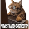 Chismesito para todos 6