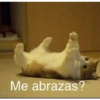 Gatitos Memes😺✨💕2 9