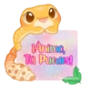 🦎💕Gecko Aurora💕🦎 18