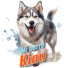 Kimi