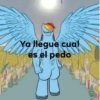 Ya llegue cual es el pedo