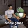MEMES PACK 6 12
