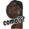 como??