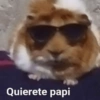 Quierete papi
