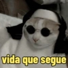 vida que segue