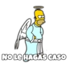 Conciencia de Homero 17