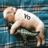 Yo tu corazón
