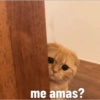 me amas?