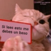 MEMES PACK 8 7
