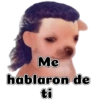Me hablaron de ti