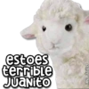 MEMES PACK 6 16