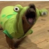 Memes 14
