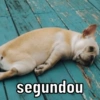 KKK MEMES 14