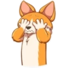 Cute dog 11