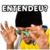 ENTENDEU?