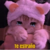 Memes Michis ✨😻 9