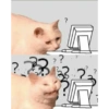 Kucing lucu 27